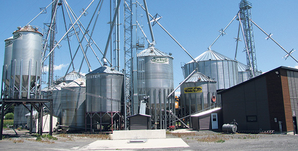  La Ferme Stéronest possède une capacité d’entreposage de 8 000 tonnes de grains. Les céréales servent essentiellement à répondre aux besoins de la ferme. Photo : Claude Fortin