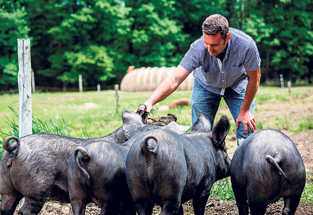Philippe Lessard produit entre 250 et 275 porcs par année à sa ferme de Compton, dans les Cantons-de-l’Est. Photo : Gracieuseté de la Ferme Lennon