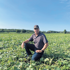 Michel Ricard évalue que les producteurs de Lanaudière, en général, n’ont livré que la moitié des volumes de concombres prévus pour la saison à leur acheteur, avant de devoir abandonner leurs champs. Photo : Gracieuseté de Michel Ricard