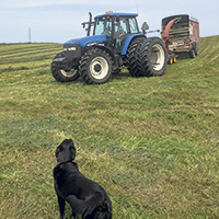 Les Labrecque cultivent 160 hectares de terre. Photo : Gracieuseté de la famille Labrecque
