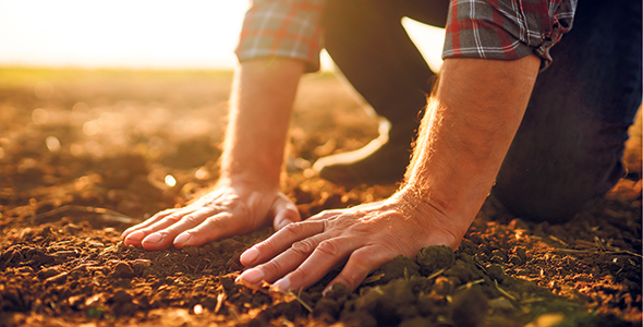 Améliorer la santé et la conservation des sols fait partie des cinq objectifs clés du PAD. Photo : Shutterstock