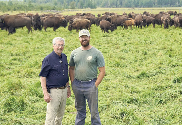 Pierre Bélanger et son fils Charles élèvent un troupeau de 400 bisons. Photo : Jimmy Chabot
