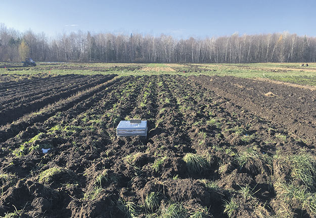 Chambre de captage de gaz à effet de serre sur une parcelle expérimentale à la suite de l’incorporation d’un engrais vert en dérobée dans une ferme biologique de la région du Centre-du-Québec, à l’automne 2020. Photo : Joannie D’Amours
