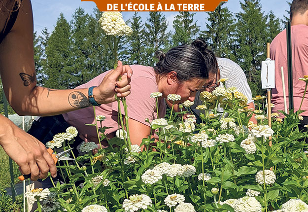 Des étudiants effectuent la récolte de fleurs dans le cadre de leur cours, sur une parcelle pédagogique qui sert également de site d’expérimentation pour un projet de l’Institut québécois du développement de l’horticulture ornementale en phytoprotection, avec la collaboration de Dubois Agrinovation. Photo : Claude Vallée