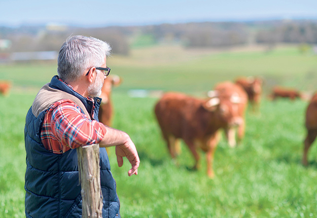 La « quête de sens » des agriculteurs à la retraite sera au cœur de l’essai doctoral d’une étudiante en psychologie à l’Université Québec à Trois-Rivières. Photo : Shutterstock