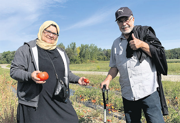 Les parents de Samira étaient en visite dernièrement au Québec. Venus d’Algérie, ils ont découvert le plaisir de l’autocueillette de légumes, un concept qu’ils ne connaissaient pas. Photo : Caroline Morneau/TCN