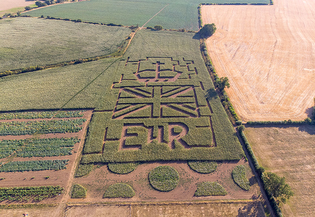 Une ferme anglaise a décidé de conserver son labyrinthe de maïs plus longtemps que prévu en raison du décès de la reine. Photo : Joe Drage Promotions