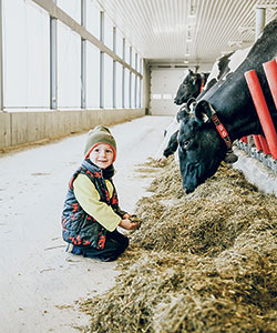 Le jeune Jake Drolet, fils de Pierre-Luc, prend visiblement plaisir à fréquenter la ferme. Photo : Emilie Nault-Simard
