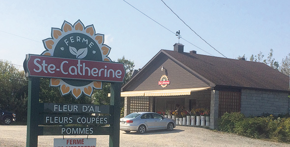 Le kiosque de la Ferme Sainte-Catherine se trouve à la jonction de l’autoroute 410 et du chemin Sainte-Catherine, à Sherbrooke. Photo : Claude Fortin