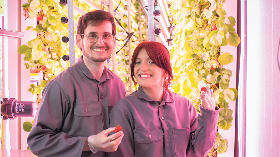 Phillip Rosenbaum et Ophelia Sarakinis, cofondateurs de Vertité, une ferme urbaine qui cultive des fraises toute l’année. Photo : Gracieuseté de Vertité
