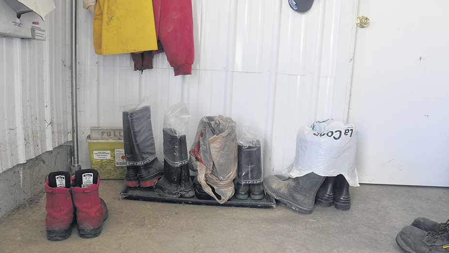 Les nombreuses paires de bottes maculées de boue qui se trouvent près de la porte et les grosses piles de lavage qui s’accumulent sans cesse sont tous des indices de la lutte quotidienne pour la propreté à laquelle les producteurs de bovins font face. Photo : Les Producteurs de bovins du Québec