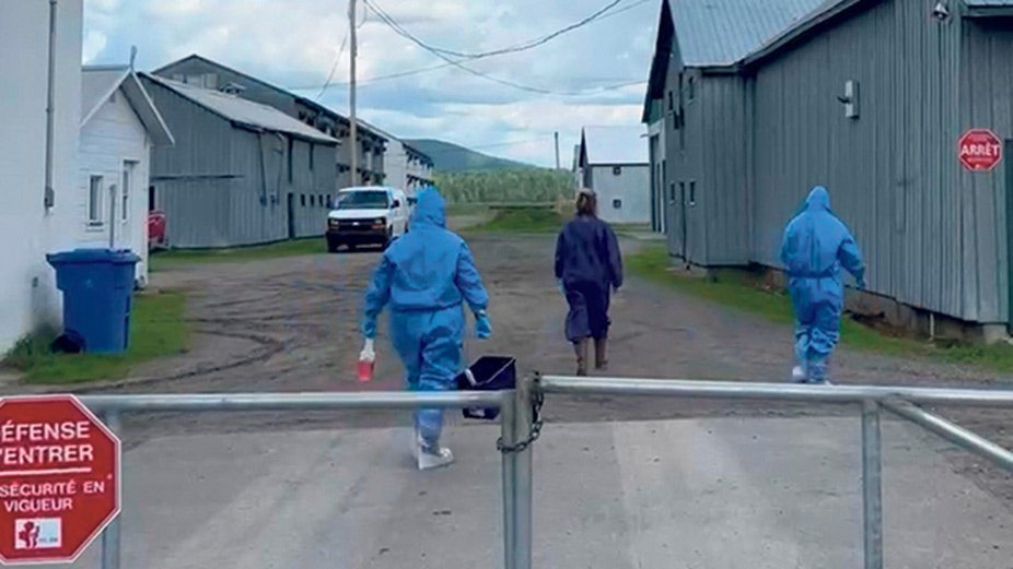 Les équipes d’intervention d’urgence de l’Agence canadienne d’inspection des aliments prennent le contrôle dès qu’un élevage est déclaré positif à la grippe aviaire.
