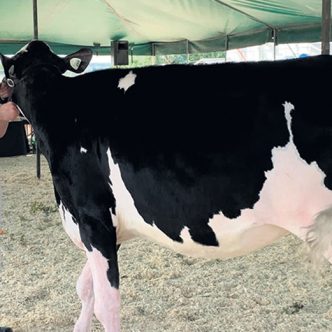 Matthis Kaiser, 15 ans, a eu la chance de participer à la World Dairy Expo de Madison grâce à l’invitation d’un éleveur. Photo : Gracieuseté de Matthis Kaiser