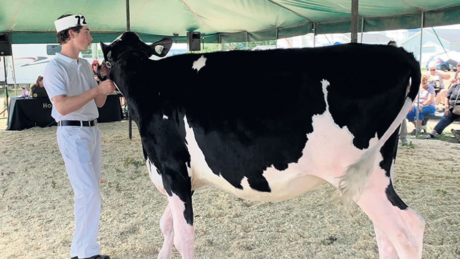 Matthis Kaiser, 15 ans, a eu la chance de participer à la World Dairy Expo de Madison grâce à l’invitation d’un éleveur. Photo : Gracieuseté de Matthis Kaiser