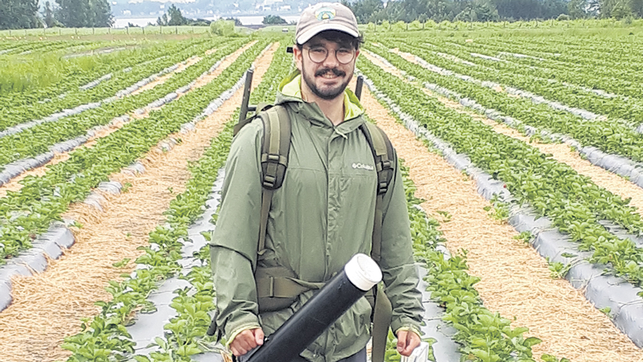 Nicolas Plante est l’un des étudiants qui participent au projet de recherche. Cet été, il est allé capturer des cicadelles dans des fermes du Québec pour mieux les analyser. Photo : Gracieuseté