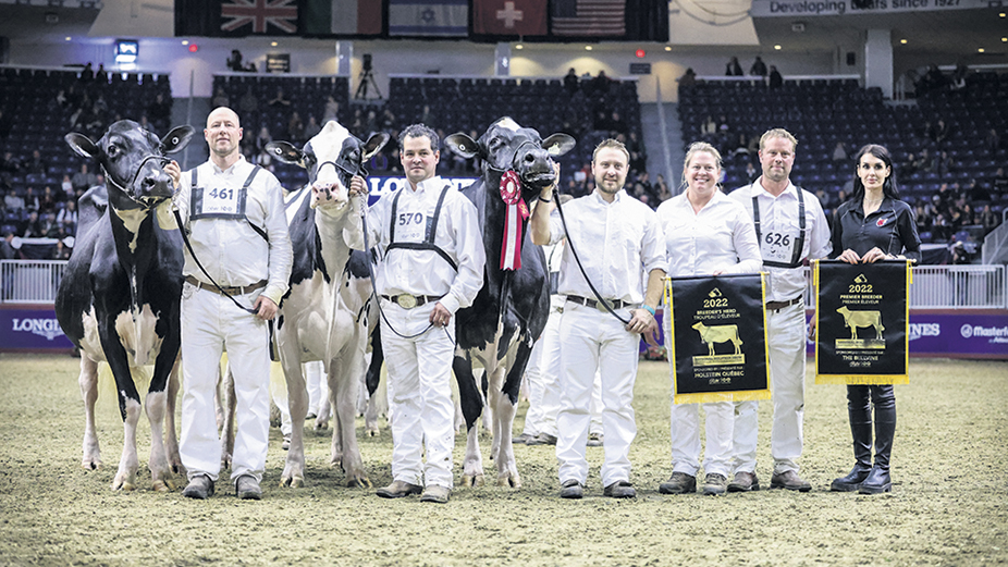 Les représentants de la Ferme Jacobs estiment que le groupe de vache présenté à la Royal Winter Fair 2022 de Toronto est le plus beau que la famille a exposé. Photo : Gracieuseté de la Ferme Jacobs