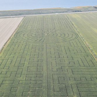 Le labyrinthe de maïs du promoteur Luc Pelletier fait 65 acres. Il bat l’ancien record de 60 acres établi à Dixon, en Californie, en 2014. Photo : Gracieuseté de Luc Pelletier