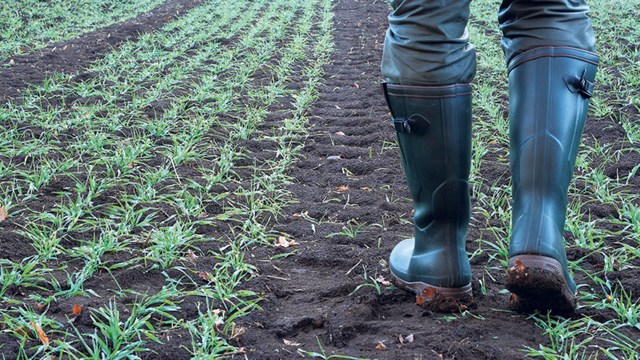 Le changement de bottes est une consigne de biosécurité qui serait souvent mal exécutée. Photo : Shutterdock