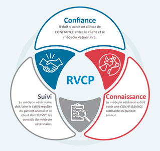 Dans une bonne relation médecin vétérinaire-client-patients, le médecin vétérinaire possède une connaissance suffisante des animaux, de leur état et de leurs conditions de vie. Il juge que le client a acquis la compétence nécessaire pour suivre ses directives et que le client accepte de suivre ces directives, tout en assurant (lui-même ou par l’intermédiaire d’un collègue) le suivi et un service d’urgence dans un délai raisonnable, si applicable. Photo : Gracieuseté de l’Ordre des médecins vétérinaires du Québec
