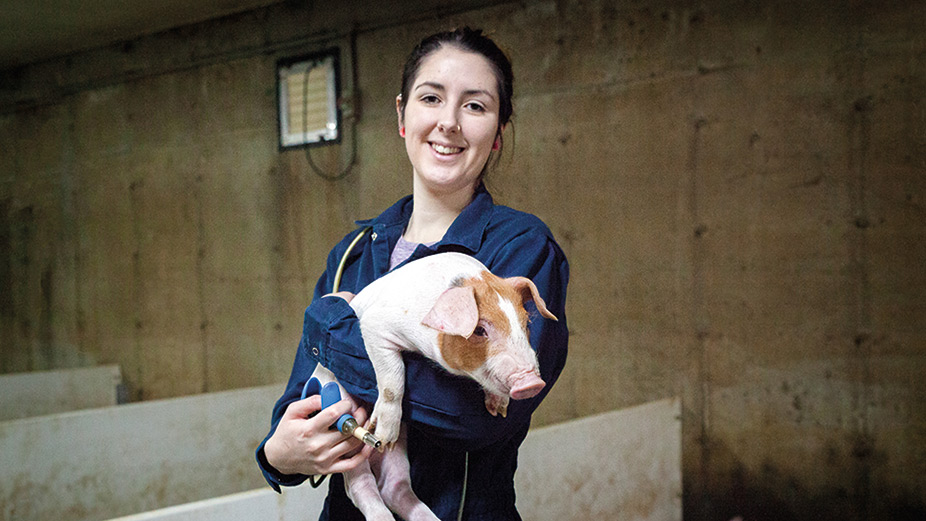 Kilianne Beaulieu offre des services de vaccination à forfait dans le secteur porcin depuis deux ans. Photo : Elzé Photographie