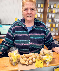 Carole Demet, de la Ferme Michaca, cultive le topinambour depuis 40 ans. Photo : Gracieuseté de la Ferme Michaca