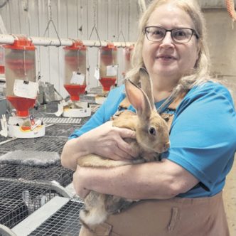 Martine Paul, productrice de lapins à Pintendre, dans Chaudières-Appalaches. Photo : Gracieuseté de la Ferme du lapin tendre