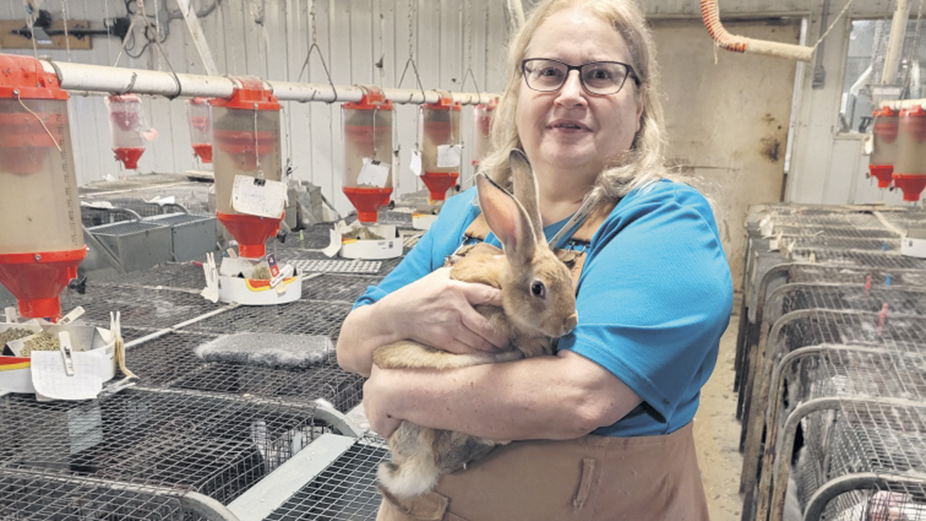 Martine Paul, productrice de lapins à Pintendre, dans Chaudières-Appalaches. Photo : Gracieuseté de la Ferme du lapin tendre