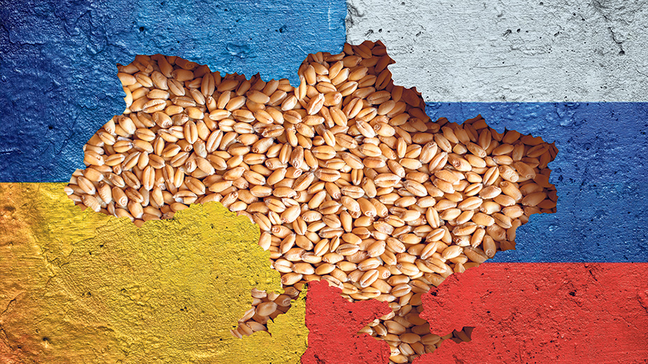 Bien que les livraisons de maïs et de blé aient repris grâce notamment à l’accord maritime sur les trois ports ukrainiens, il faut garder à l’esprit, selon Ramzy Yelda, que cet accord est sujet à une guerre et que tout peut changer du jour au lendemain. Photo : Shutterstock.com