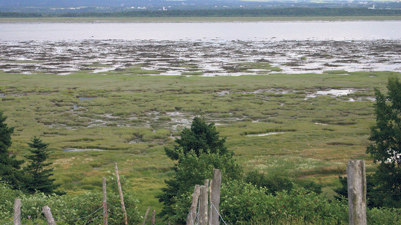 Le ministère de l’Environnement estime que la levée partielle du moratoire sur les superficies en culture ajoutera 14 800 hectares de superficies cultivables au Québec. Photo : Archives/TCN
