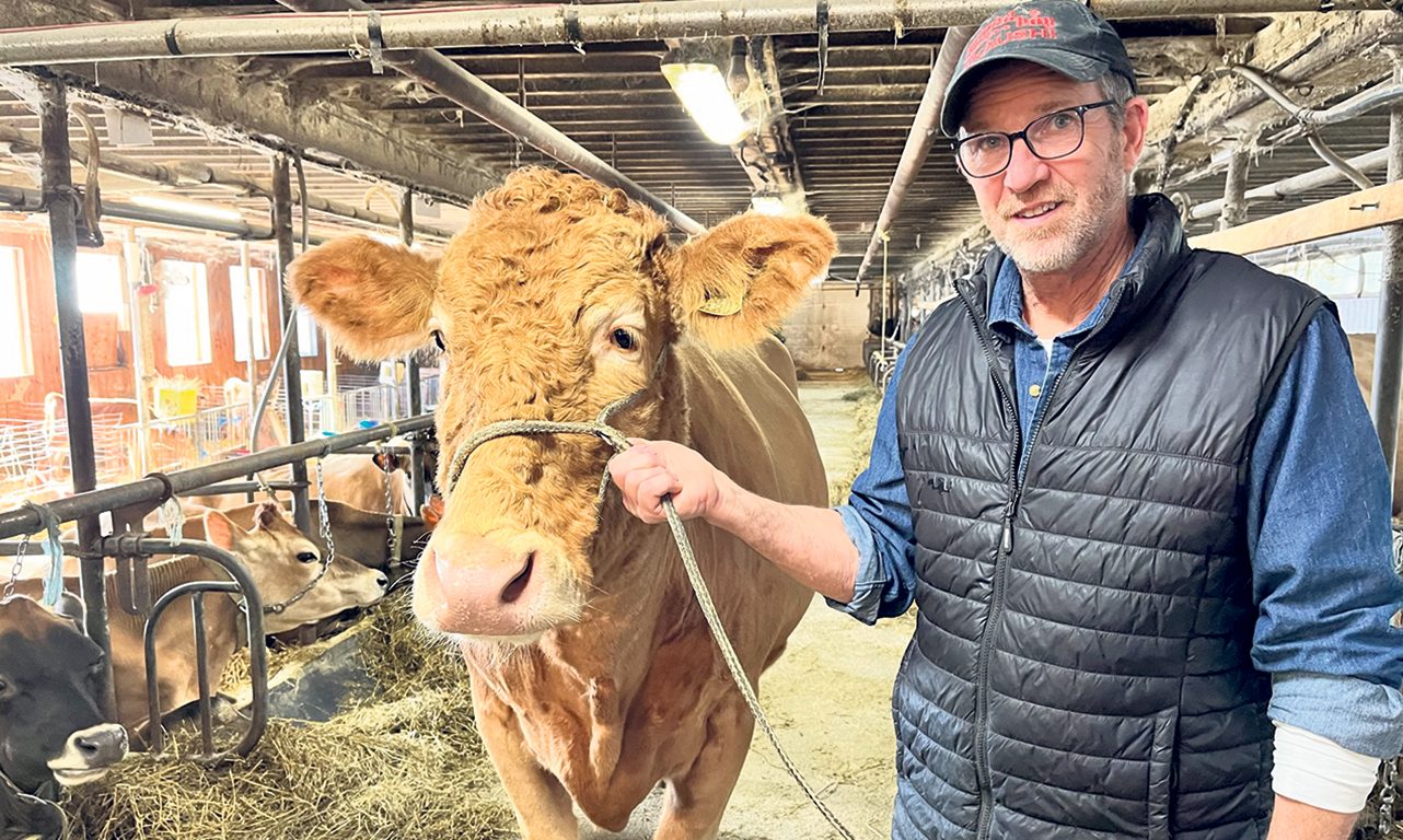 Certaines vaches ont rapporté plus de 100 000 $ à Stephen Borland depuis qu’il s’est lancé dans la reproduction de sujets de race Akaushi. Photos : Myriam Laplante El Haïli/TCN