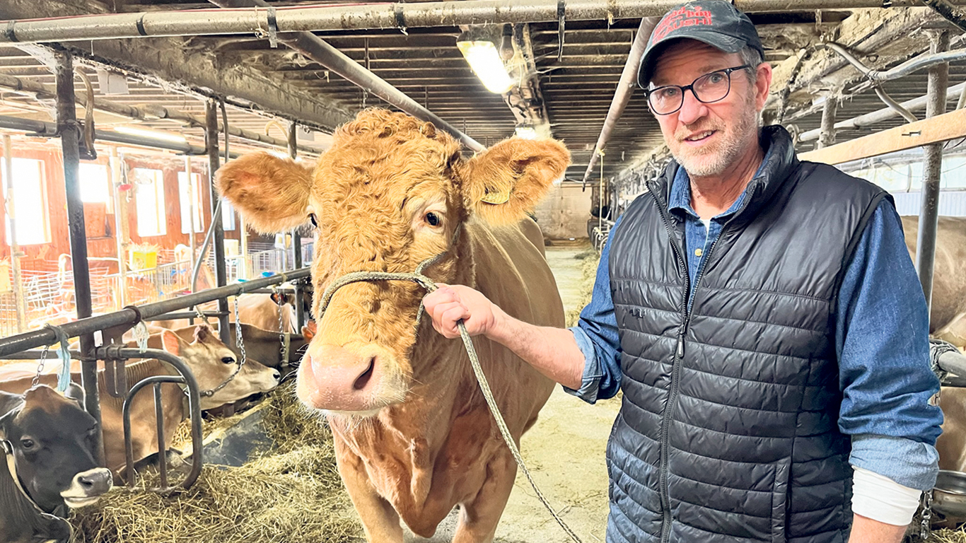 Certaines vaches ont rapporté plus de 100 000 $ à Stephen Borland depuis qu’il s’est lancé dans la reproduction de sujets de race Akaushi. Photos : Myriam Laplante El Haïli/TCN