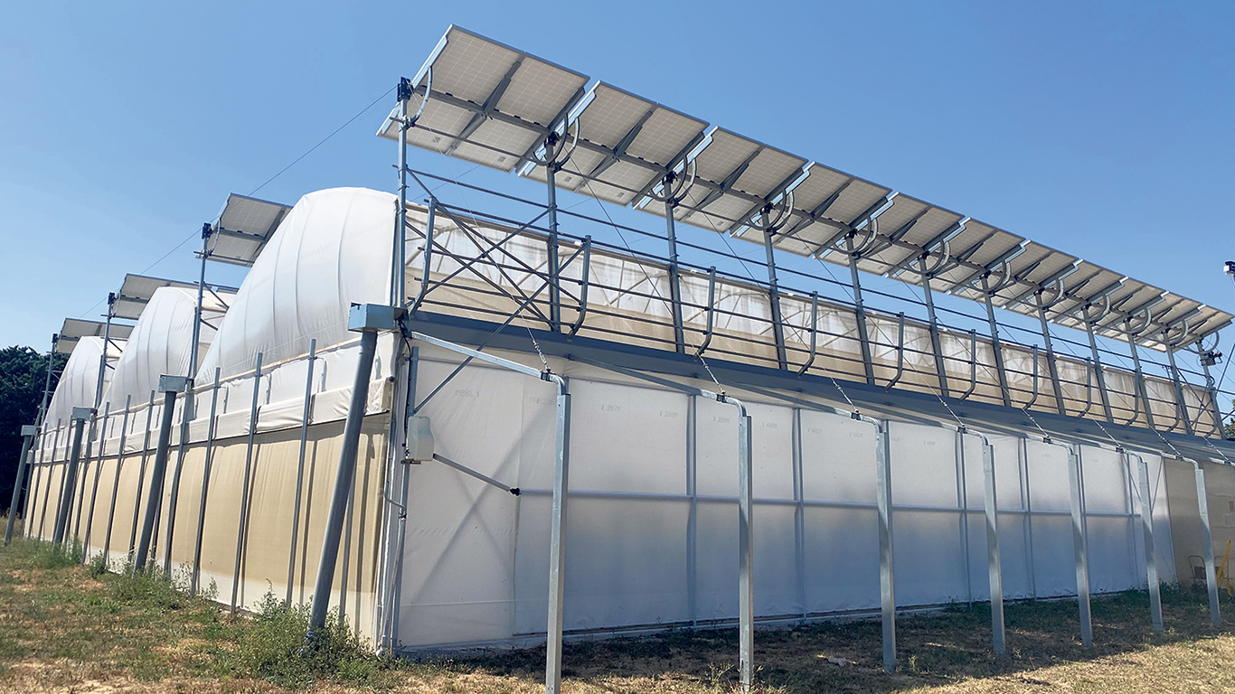 Les serres sont construites pour supporter les panneaux solaires, qui agissent comme des boucliers thermiques lorsque désiré. Le retour sur l’investissement prendrait de 15 à 20 ans, tandis que la durée de vie projetée est de 30 ans. Photos : Sun’Agri