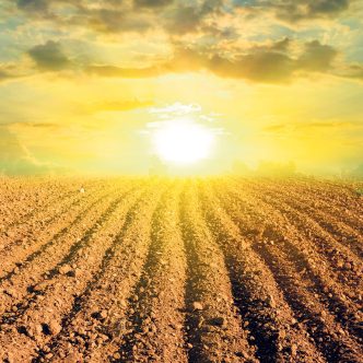 Le travail de sol est un élément important en vue de bien préparer celui-ci à l'approche de la nouvelle saison des cultures. Photo : Shutterstock
