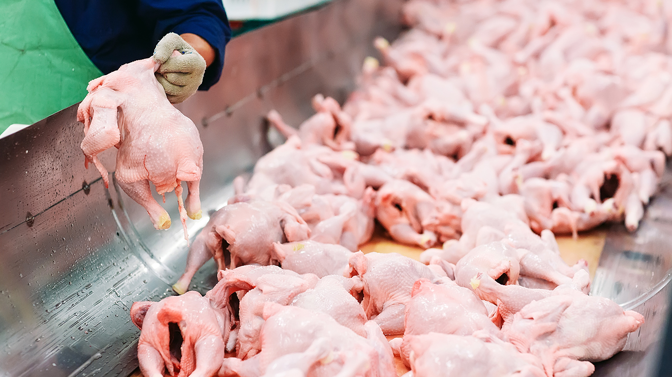 Plusieurs millions de kilogrammes de poulet étiqueté comme de la poule de réforme entreraient illégalement au pays depuis 10 ans, selon les Producteurs de poulet du Canada.