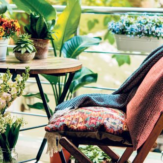 Avez-vous pensé à sortir au grand air vos plantes de maison? Habituellement, les plantes d’appartement sont très bien dehors. Photo : Shutterstock