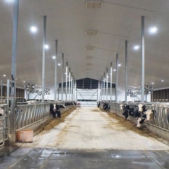 Un producteur laitier doit s’assurer que ses vaches disposent de cycles de lumière adaptés à des heures régulières, selon Chris Roelofsen, de Canarm AgSystems. Photo : Photos : Gracieuseté de Canarm AgSystems