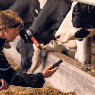 Sophie Neveux coordonne actuellement le projet pilote Fermes durables d’Agropur visant à quantifier et à améliorer ultimement la performance des producteurs laitiers participants en matière de bien-être animal et d’environnement, selon différents indicateurs. Photo : Gracieuseté d’Agropur