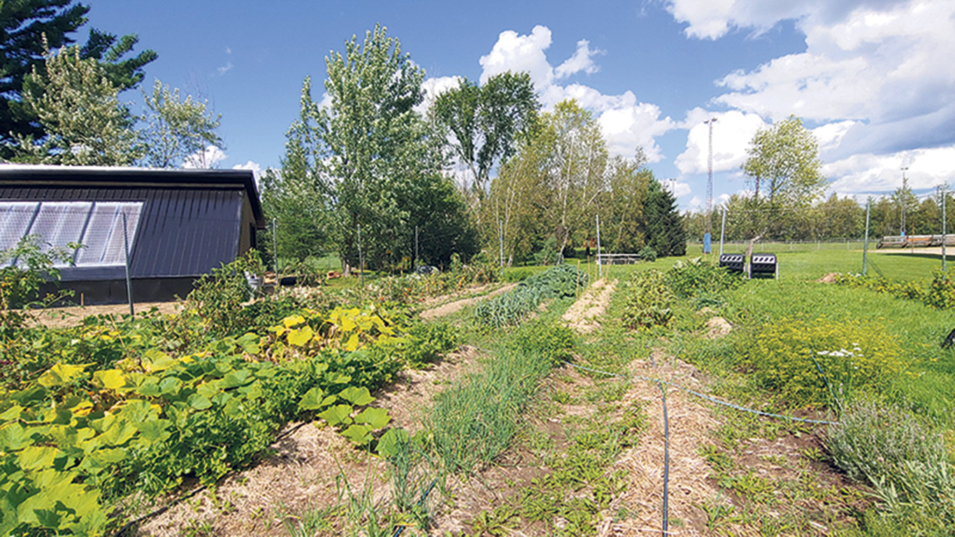 Un jardin et une serre passive ont été aménagés dans la cour de l’école secondaire du Tournesol, à Windsor, en Estrie. Photo : Gracieuseté d’Élisabeth Carrier