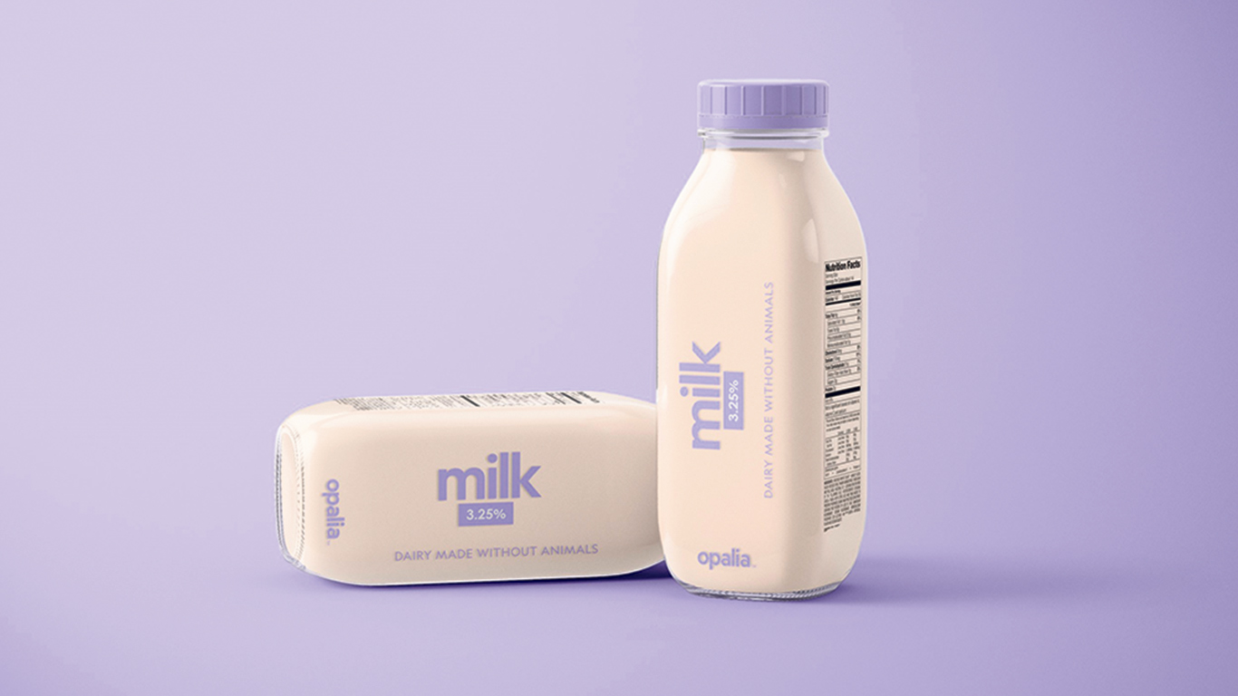L’entreprise Opalia compte commercialiser d’ici 2026 ou 2027 des produits de « lait » provenant de la reproduction cellulaire.