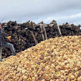 Le producteur Guillaume Gagné sur une montagne de légumes invendus qui serviront à nourrir son bétail. Photo : Gracieuseté de Guillaume Gagné