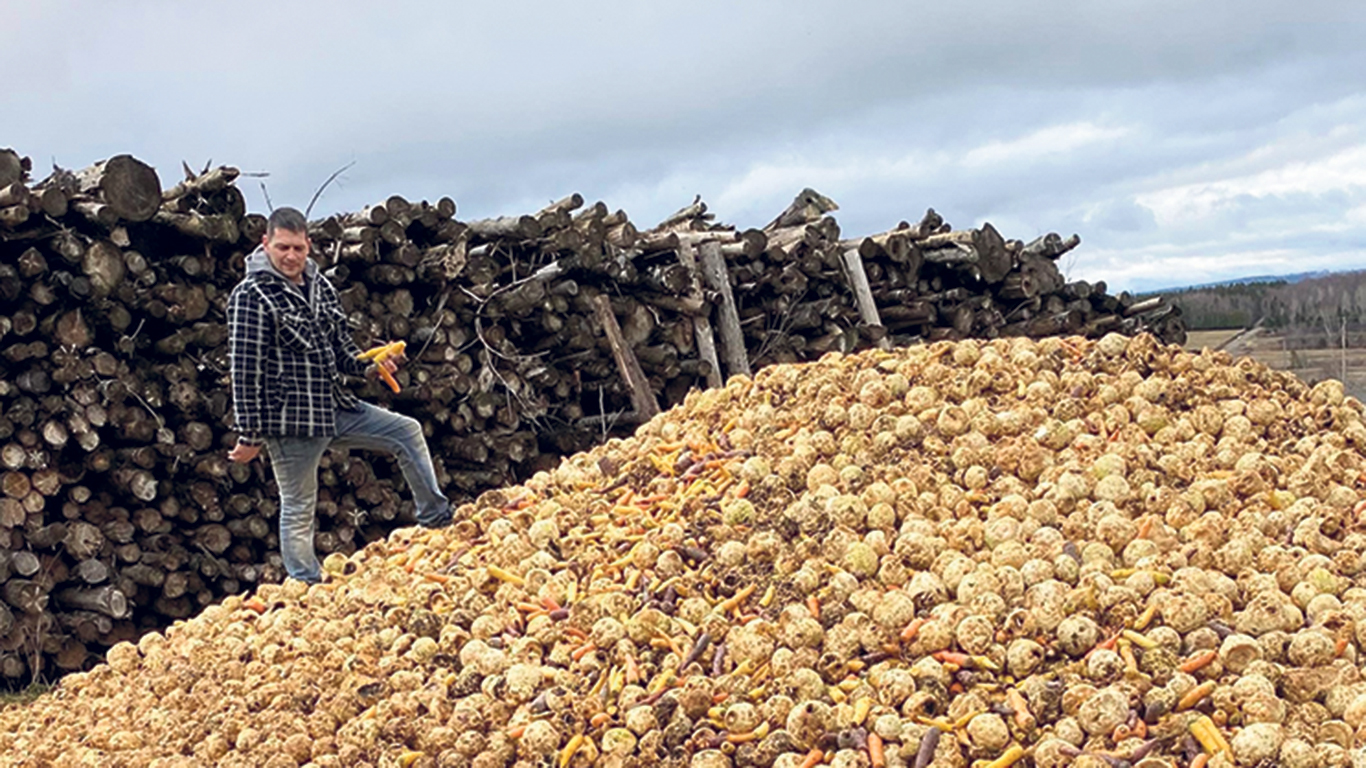 Le producteur Guillaume Gagné sur une montagne de légumes invendus qui serviront à nourrir son bétail. Photo : Gracieuseté de Guillaume Gagné