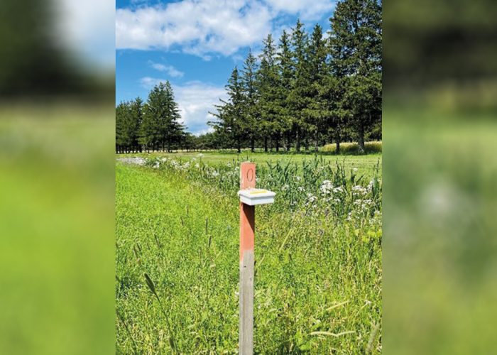 Un capteur de son de type AudioMoth a servi à enregistrer les bruits dans les champs à proximité des bandes riveraines. Photo : Agriculture et Agroalimentaire Canada