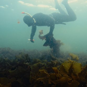 Celui qui se dit agriculteur du fond des mers, car il pratique la récolte d’algues dans le fleuve Saint-Laurent, fera l’objet d’un épisode de la série documentaire Les cueilleurs sur les ondes d’Unis TV. Crédit : Gracieuseté d’Unis TV