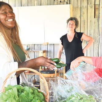 À la ferme maraîchère Les Jardins du coin, quelques clients ont eu la chance d’être servis par la chanteuse Mélissa Bédard. Photo : Gracieuseté de l’UPA