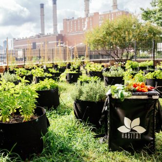 L’entreprise de services d’agriculture urbaine MicroHabitat opère dans huit villes en Amérique du Nord. Photo : Gracieuseté de MicroHabitat
