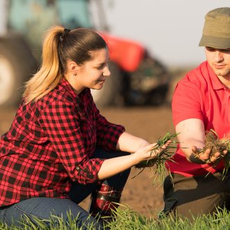 Pour être admissibles, les producteurs agricoles doivent être âgés de moins de 45 ans, avoir une formation reconnue et détenir un minimum de 20 % des parts ou des actions de l’entreprise depuis moins de cinq ans. Photo : Shutterstock