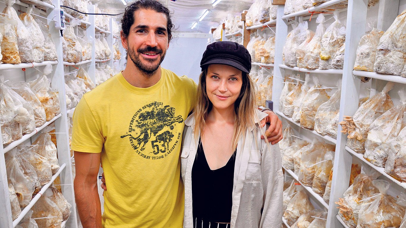 Ignacio Fernandez et Julie Forest cultivent une grande variété de champignons gourmets à leur ferme Le Réseau souterrain, fondée à l’automne 2022 à Sherbrooke. Photos : André Laroche