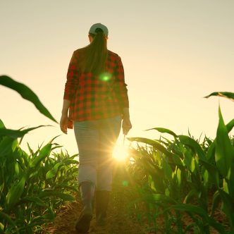 L'organisme Au cœur des familles agricoles (ACFA), qui déploie des travailleurs de rang dans 10 régions administratives du Québec, s'attend à une hausse des demandes de soutien psychologique au cours des prochains mois. Photo : Shutterstock
