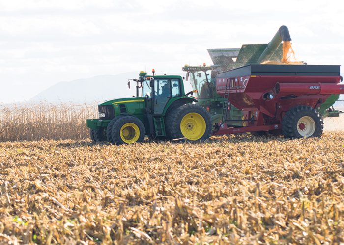 Les prévisions pour octobre sont favorables et laissent entrevoir de bonnes conditions de récolte. Photo : Martin Ménard/Archives TCN