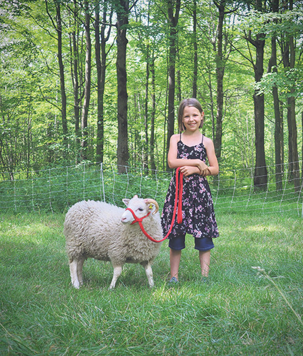 Elle a aussi commencé à dresser une agnelle. Photo : gracieuseté d’Eveline Benoit